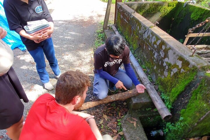 Oita: Shiitake Mushroom Farm Tour & Tasting — photo 9