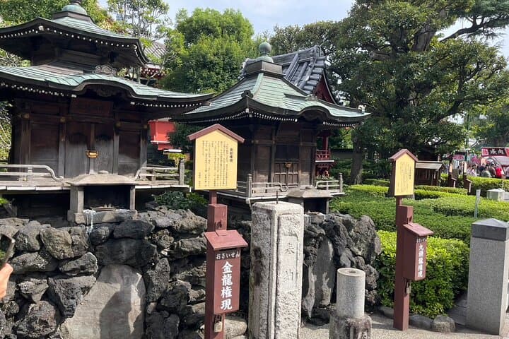 Japanese Lesson and City Walk for Travelers in Tokyo — photo 5