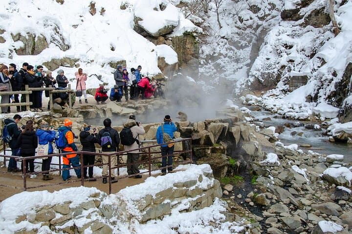 Snow Monkey Park & Zenkoji Private Tour (Customizable) — photo 4