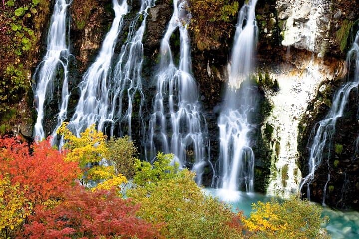 Sapporo to Blue Pond & Shirahige Falls Furano Private Tour — photo 3