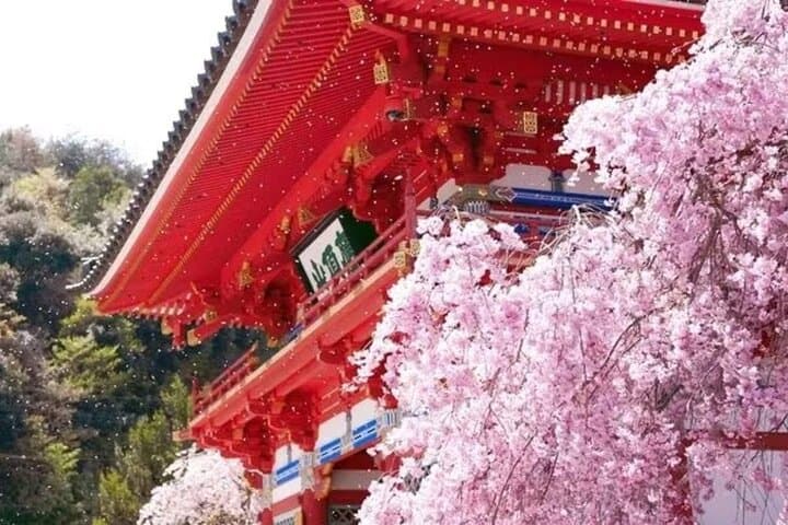 Osaka Katsuo-ji Temple Natural Attraction Ticket — photo 3