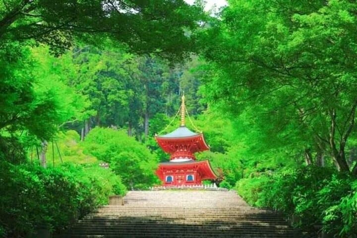 Osaka Katsuo-ji Temple Natural Attraction Ticket — photo 6