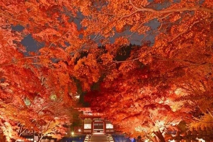 Osaka Katsuo-ji Temple Natural Attraction Ticket — photo 8