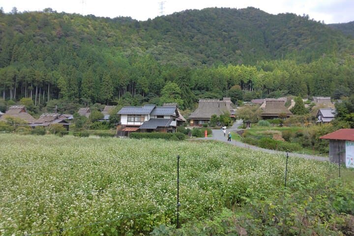Miyama “Kayabuki no Sato” – A Journey Back in Time — photo 4