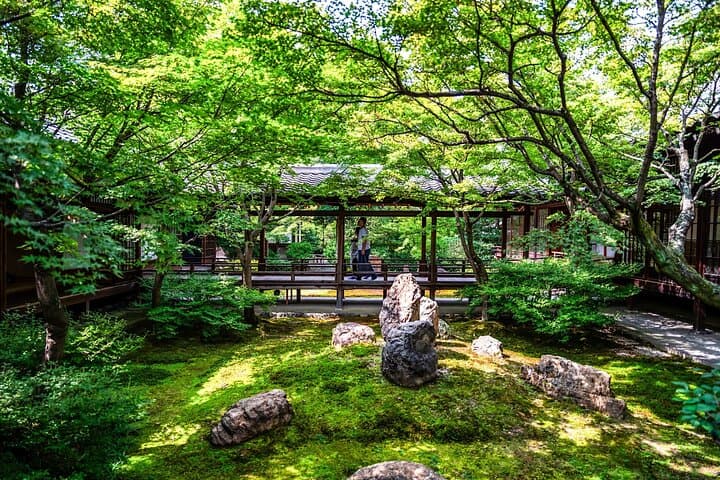 Kyoto Private Tour: One Day Highlights and Cultural Gems — photo 3