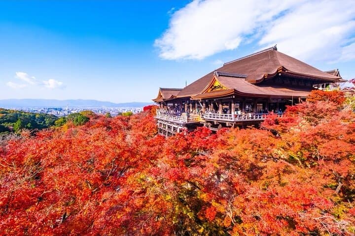 Kyoto and Nara Private Car Tour with a Local English Guide Driver — photo 16