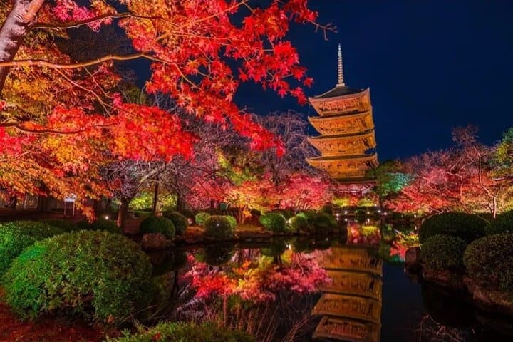 Kyoto and Nara Private Car Tour with a Local English Guide Driver — photo 15