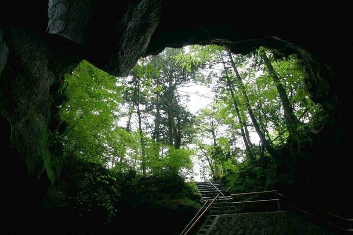 Mt. Fuji Aokigahara Forest Tour with Licensed Guide and Vehicle — photo 5
