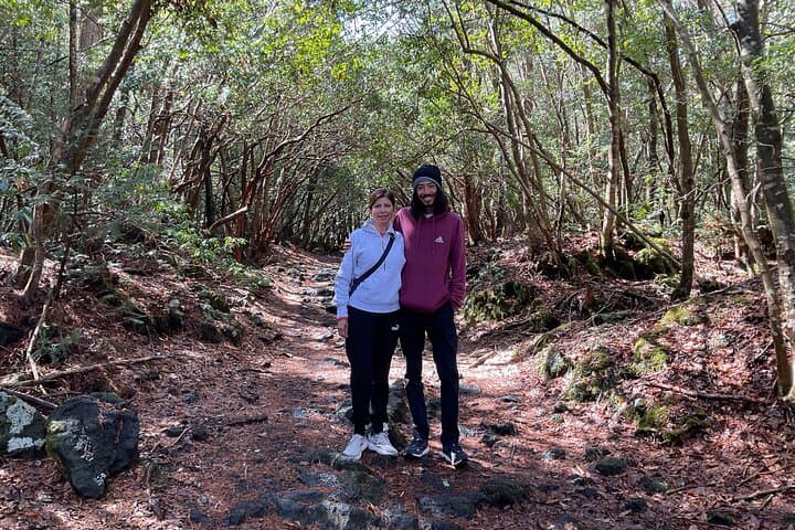 Mt. Fuji Aokigahara Forest Tour with Licensed Guide and Vehicle — photo 3