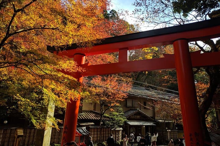Private Luxury Alphard Morning Tour of Kyoto Icons — photo 7