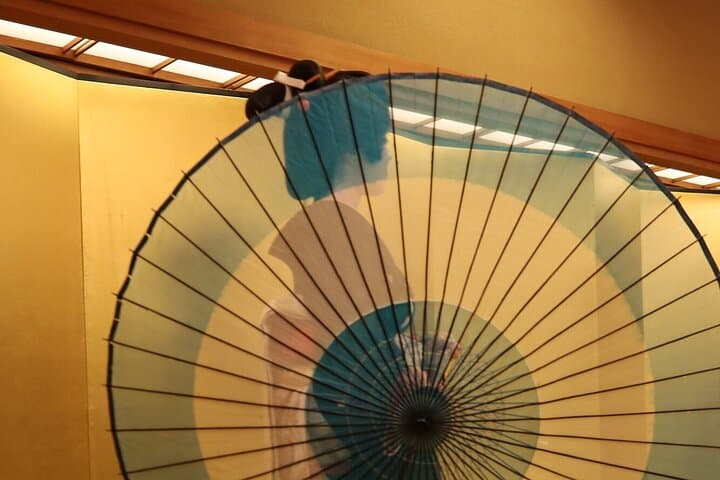 Tokyo Private Geisha Dance Show and Dinner in Shinjuku — photo 8