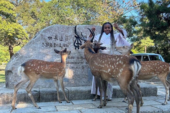 Osaka and Nara Private Car Tour with a Local English Guide Driver — photo 3