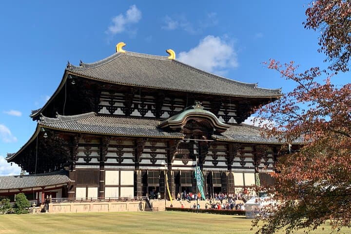 Todaiji Temple Nara Park and Naramachi Alley Walk — photo 2