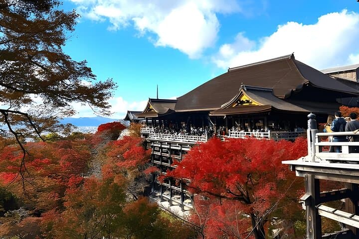 Private Kyoto Sightseeing Tour with Licensed Green-Plate Vehicle — photo 3