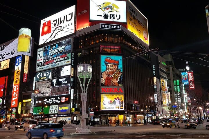 Sapporo ⇔ New Chitose Airport Private Transfer | Licensed Driver — photo 6