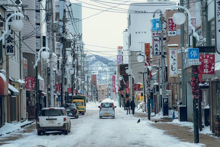 Sapporo ⇔ New Chitose Airport Private Transfer | Licensed Driver — photo 7