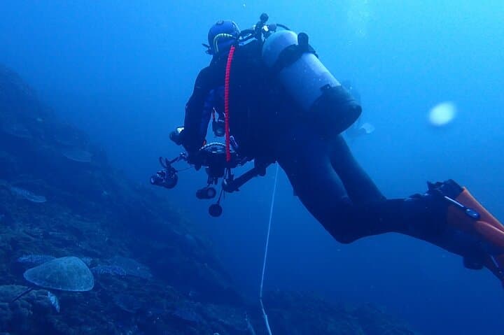 Experience Dry Suit Diving : 1 Beach + 1 Boat Dive in Kushimoto — photo 6