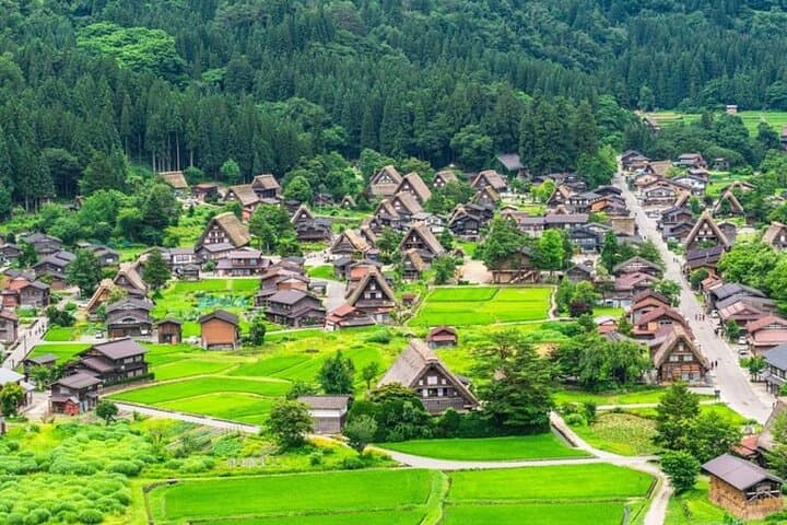Shirakawa-go, Hida Takayama Day and Old Town Tour from Nagoya — photo 3
