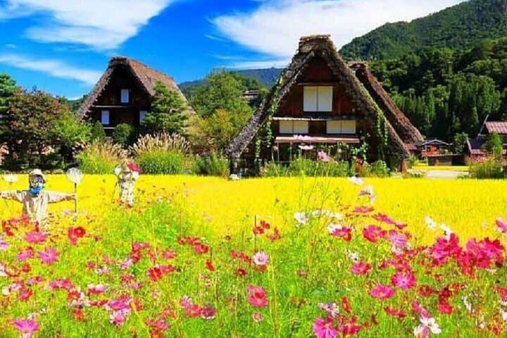 Shirakawa-go, Hida Takayama Day and Old Town Tour from Nagoya