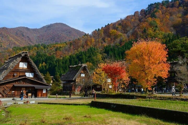 Shirakawa-go, Hida Takayama Day and Old Town Tour from Nagoya — photo 5
