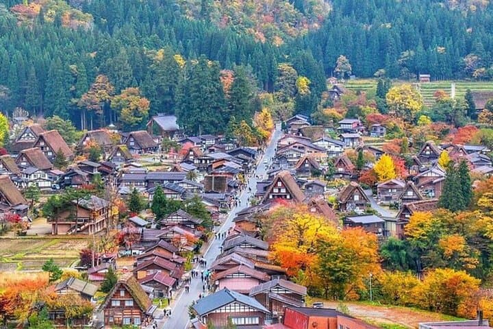 Shirakawa-go, Hida Takayama Day and Old Town Tour from Nagoya — photo 6