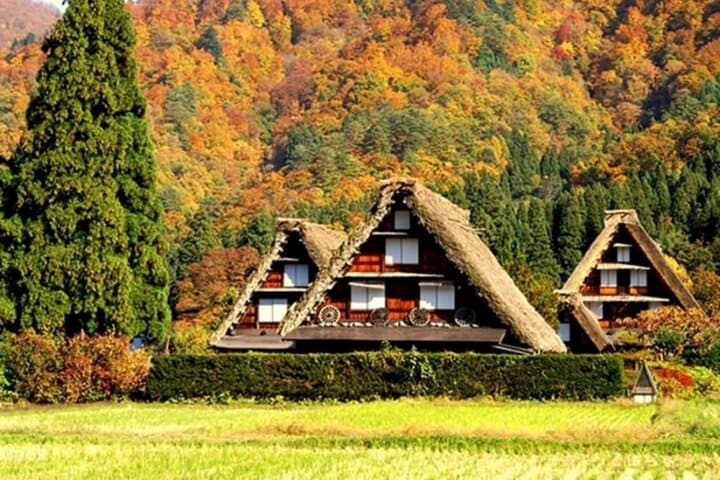 Shirakawa-go, Hida Takayama Day and Old Town Tour from Nagoya — photo 2