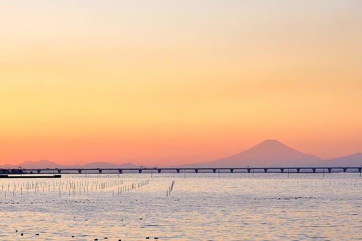 Half Day Haneda Tour with Shopping and Mt Fuji View — photo 2