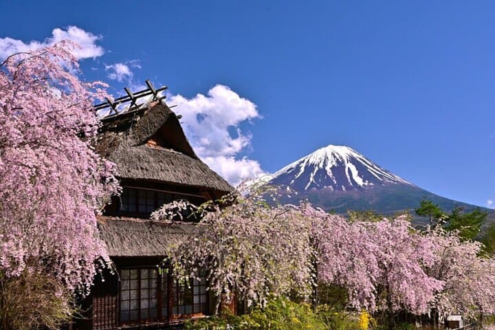 From Tokyo Mount Fuji Full Day Shared Tour — photo 3