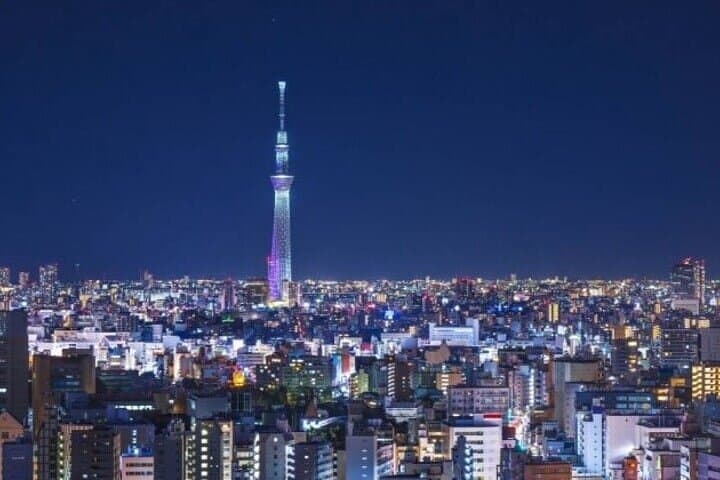 All Inclusive Tokyo Shared Tour with Hotel Pickup — photo 5