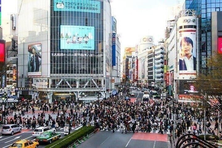 All Inclusive Tokyo Shared Tour with Hotel Pickup — photo 6