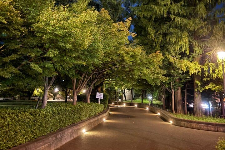 Nagasaki Night Tour — photo 2