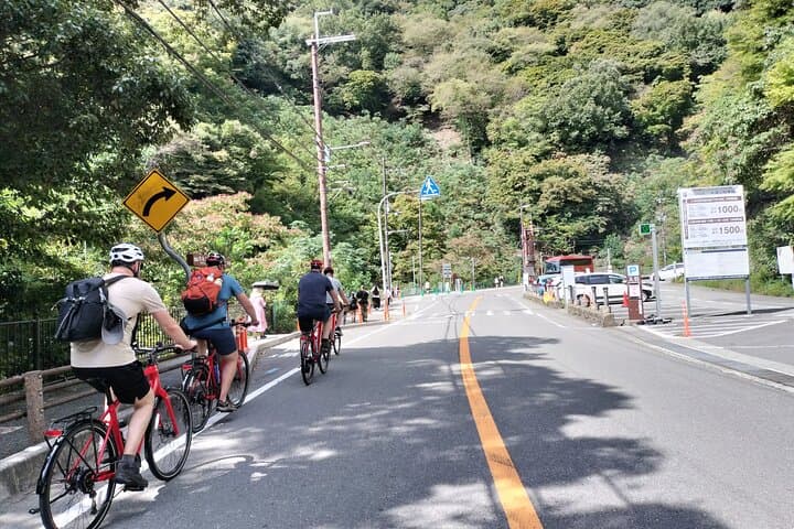 Osaka Half-day E-bike Adventure: Minoh Falls & Katsuoji Temple — photo 13