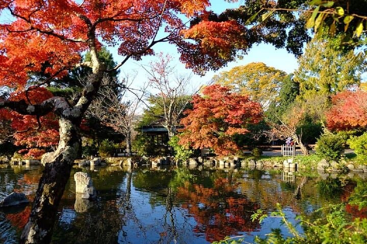 Kyoto Gion Night Guided Walking Tour for 3 Hours — photo 13