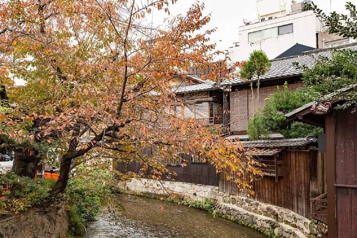 Kyoto Gion Night Guided Walking Tour for 3 Hours — photo 12
