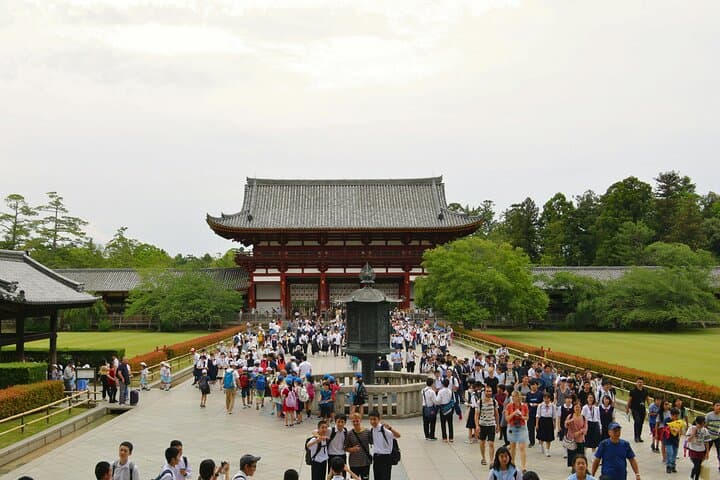 Discover Himeji, Kobe and Nara from Osaka — photo 8