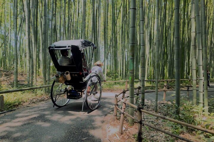 Cinematic Portrait Film Experience in Kyoto with Local Filmmaker — photo 4