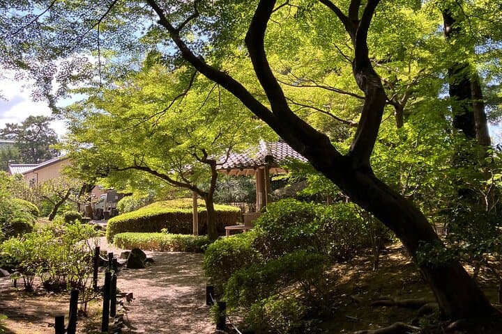 Nara: Essential Private Tour with Deer Park and Temples — photo 7