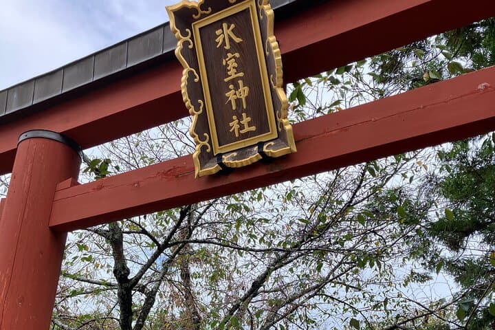 Nara: Essential Private Tour with Deer Park and Temples — photo 8