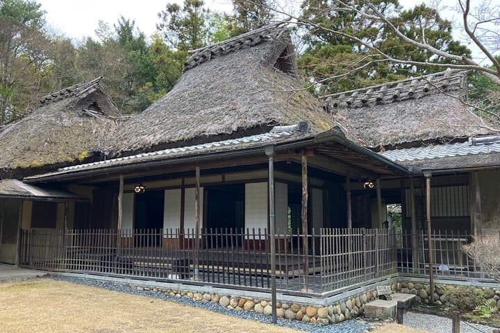 Nara: Essential Private Tour with Deer Park and Temples — photo 9