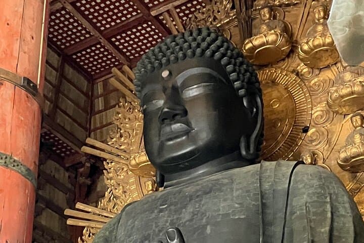 Nara: Essential Private Tour with Deer Park and Temples — photo 12
