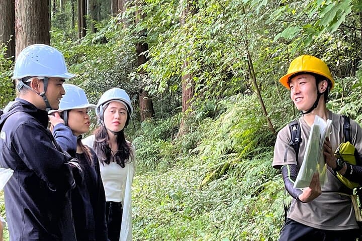 Trees & Tradition: The Living Forest Behind Japanese Architecture — photo 3