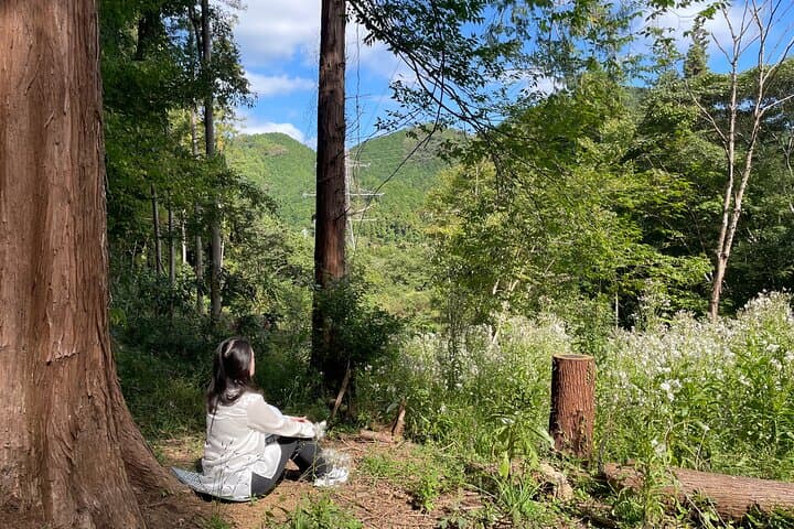 Trees & Tradition: The Living Forest Behind Japanese Architecture — photo 9
