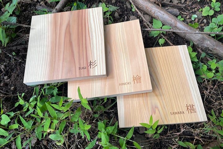 Trees & Tradition: The Living Forest Behind Japanese Architecture — photo 10