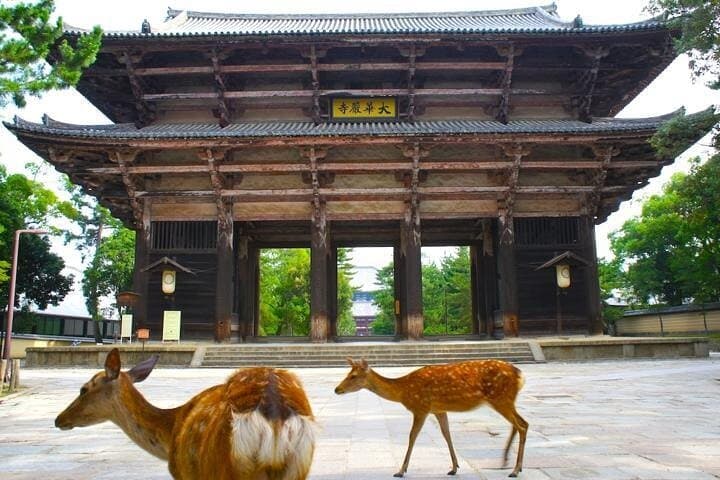 See Naras Must Sees by Private Car with Guide — photo 3