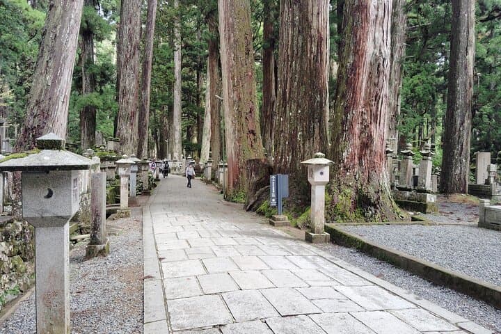 Koyasan: Sacred Silence of Okunoin at Dawn and After Dark — photo 7