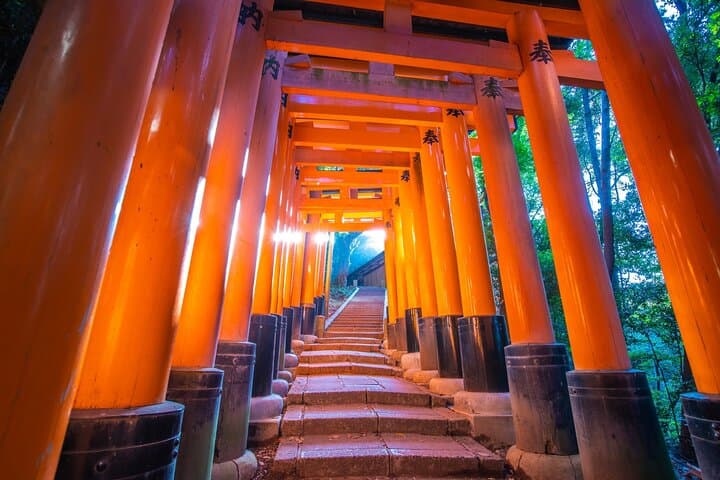 From Osaka/Kyoto: Kyoto & Nara Day Trip with Optional Lunch — photo 12