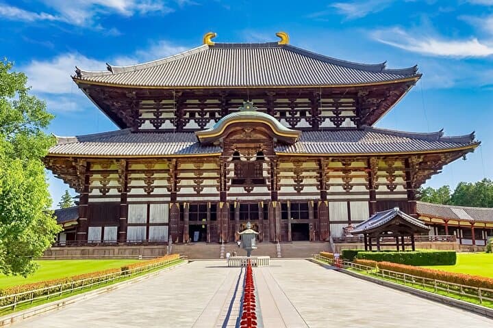 From Osaka/Kyoto: Kyoto & Nara Day Trip with Optional Lunch — photo 2