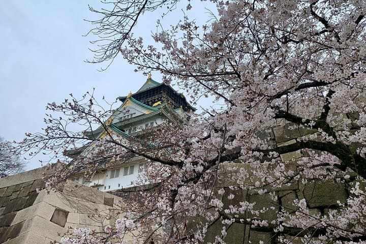 Osaka Local Guided Walking Tour (Spanish) — photo 2