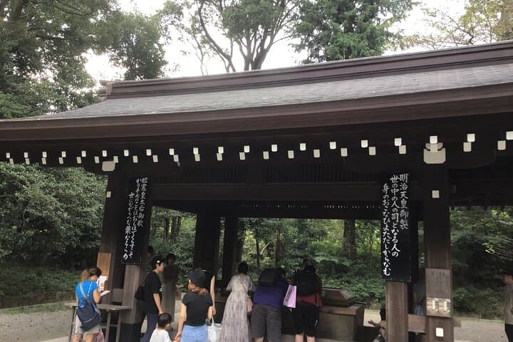 Tokyo: Meiji Jingu Cultural Walking Tour with Japanese Historian — photo 11