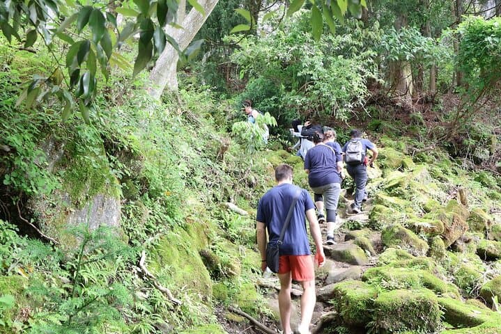Mt Nokogiri Adventure A Guided Hike on the Boso Peninsula — photo 3